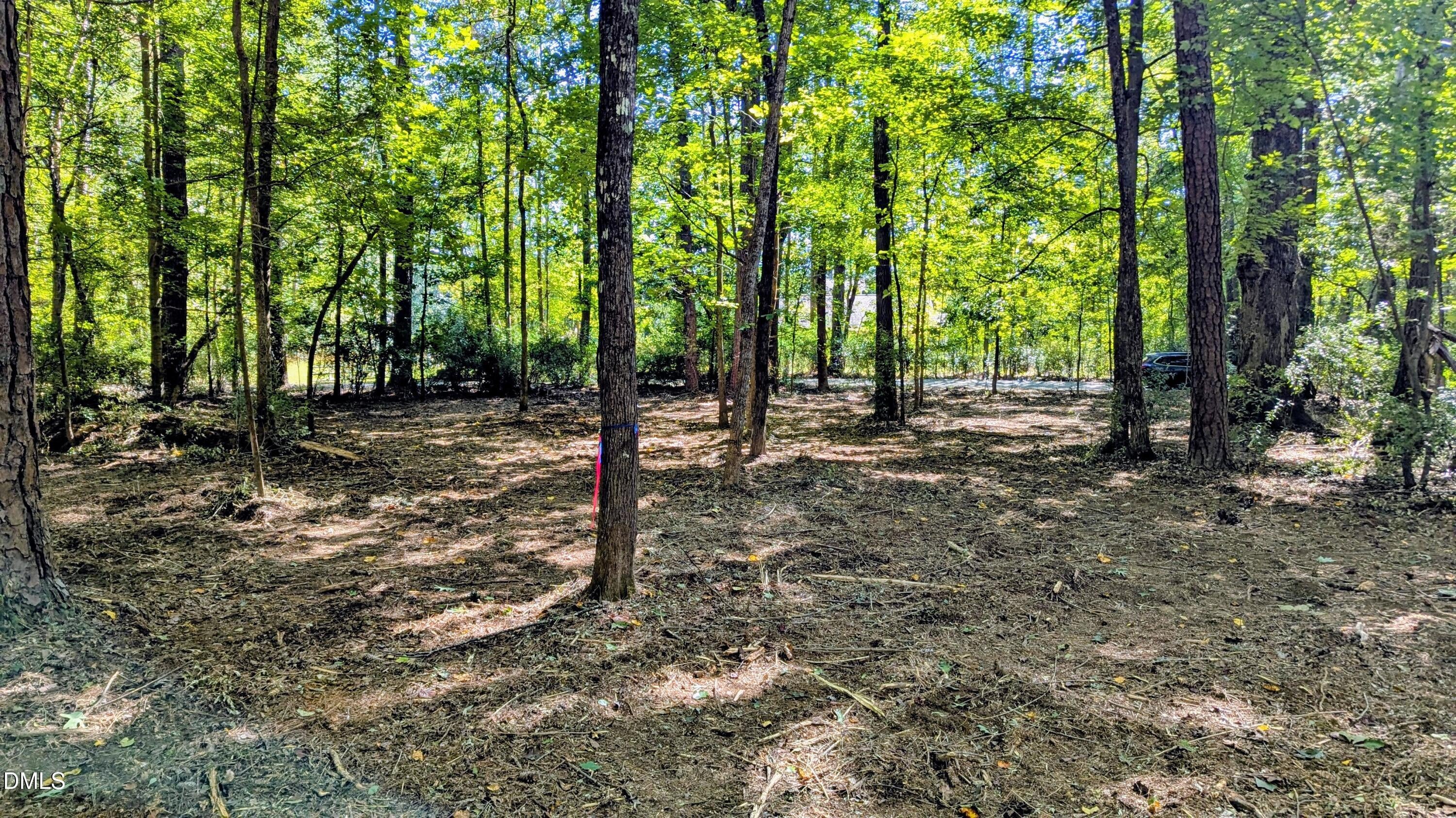 Lot 1 Blueberry Lane