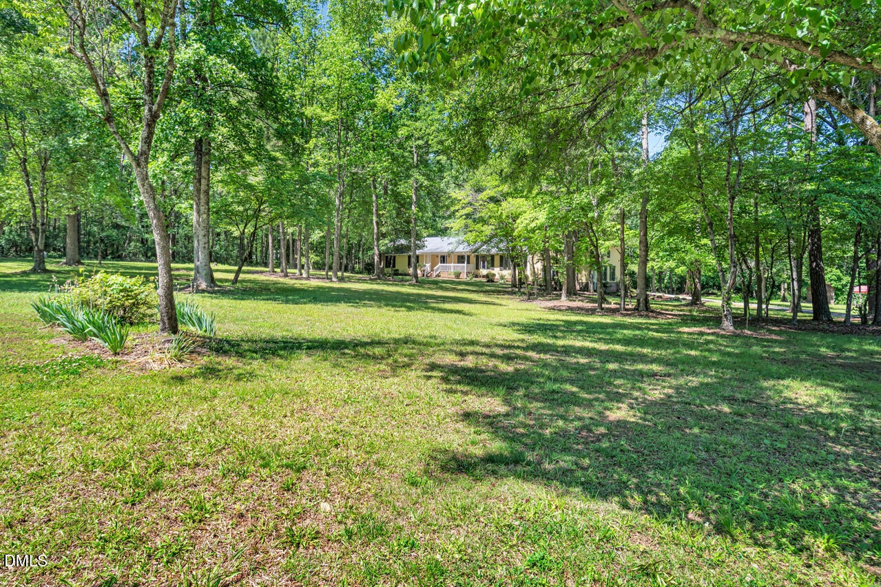 23 Turkey Creek Trail