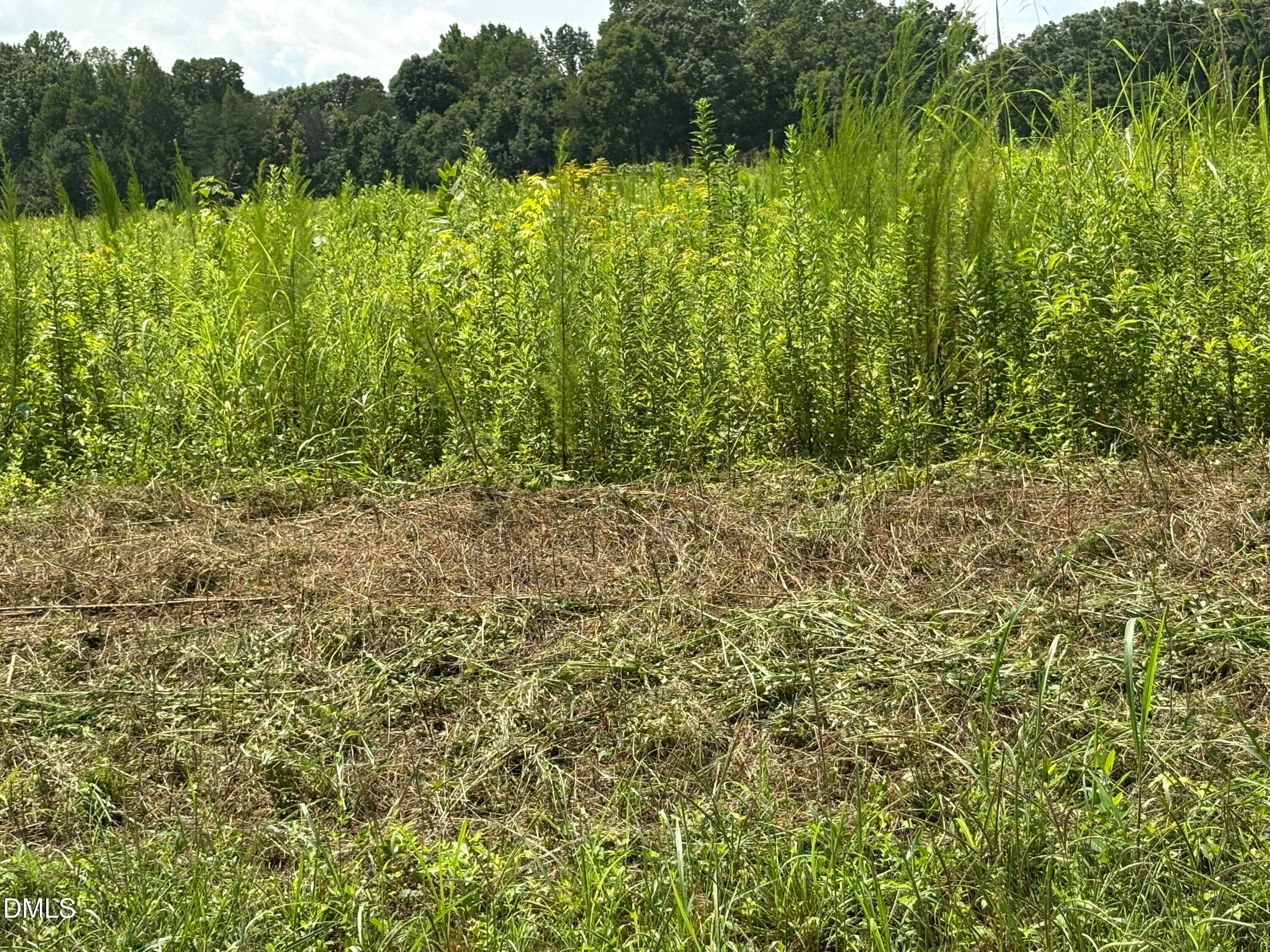 Lot 5 Oak Grove Church Road