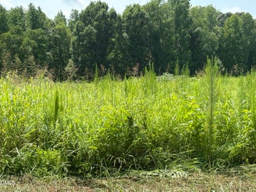 Lot 5 Oak Grove Church Road Mebane NC 27302