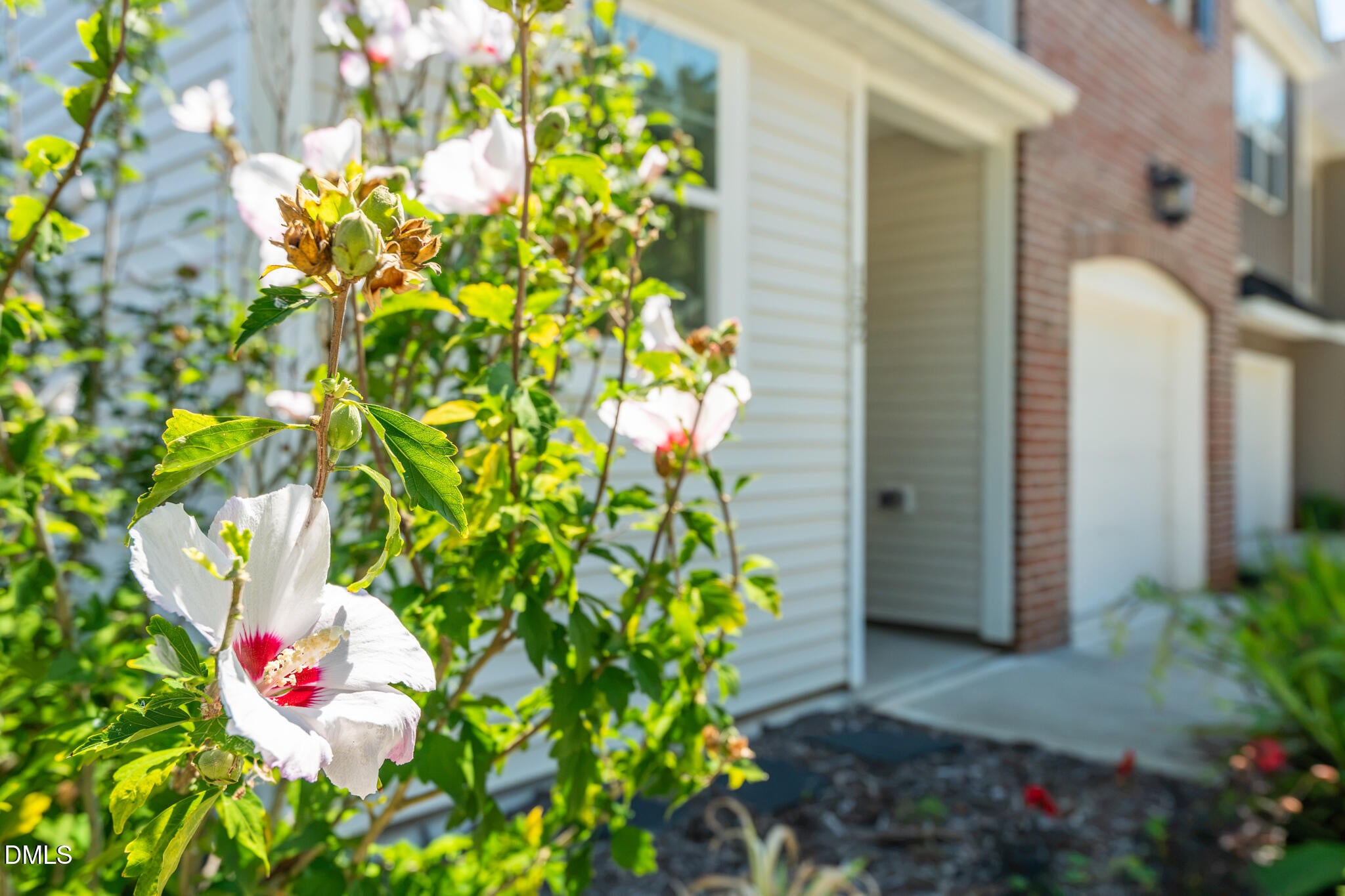 152 Walking Path Place