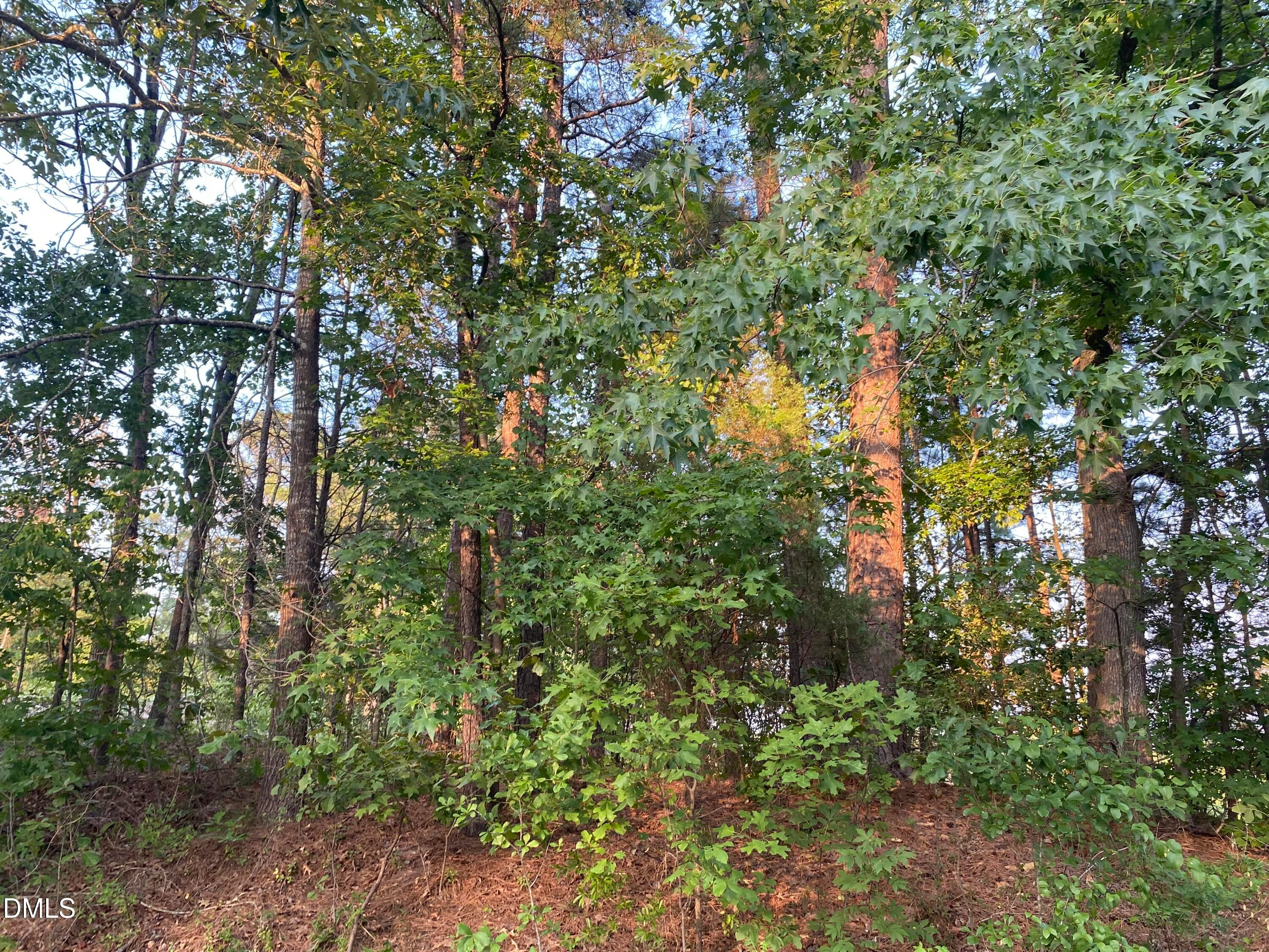 2417 Holiday Drive