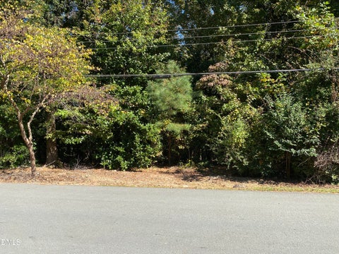 Photo of 5026 Green Oak Drive, Durham, NC 27712 (MLS # 10190465)