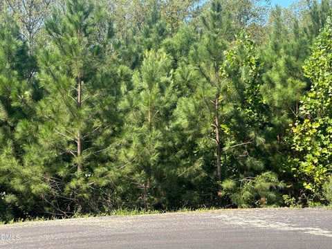 Photo of Lot 15 0 W Old Spring Hope Rd, Spring Hope, NC 27882 (MLS # 10193189)