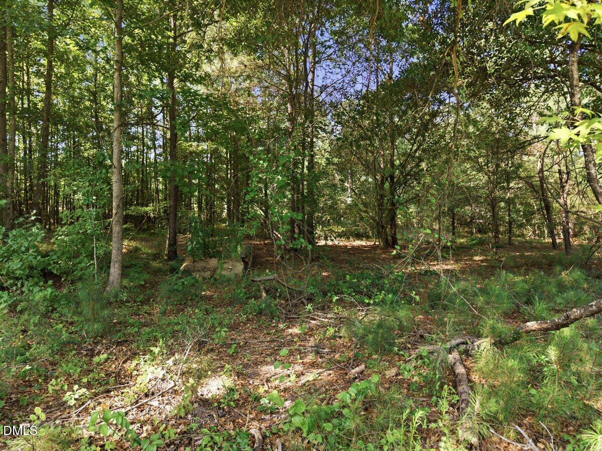 331 Meadow Walk Drive