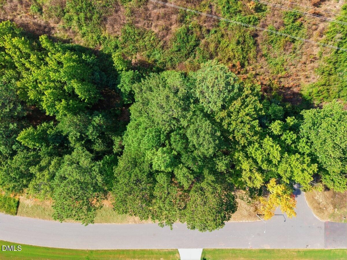 331 Meadow Walk Drive