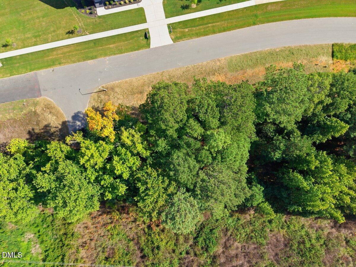 331 Meadow Walk Drive