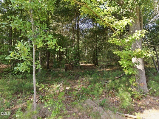 331 MEADOW WALK DR, FUQUAY VARINA, NC 27526 - Image 3af607c57da3eb2ab3d27353d9fdc425/4098882202