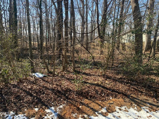 LANNIE DR, HILLSBOROUGH, NC 27278 - Image 3af6917870a79a8baa667bbcceca3a29/964167117