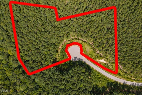 Photo of 586 Anneliis Lane, Siler City, NC 27344 (MLS # 10189699)