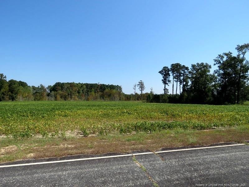 TBD Cowpen Swamp Road
