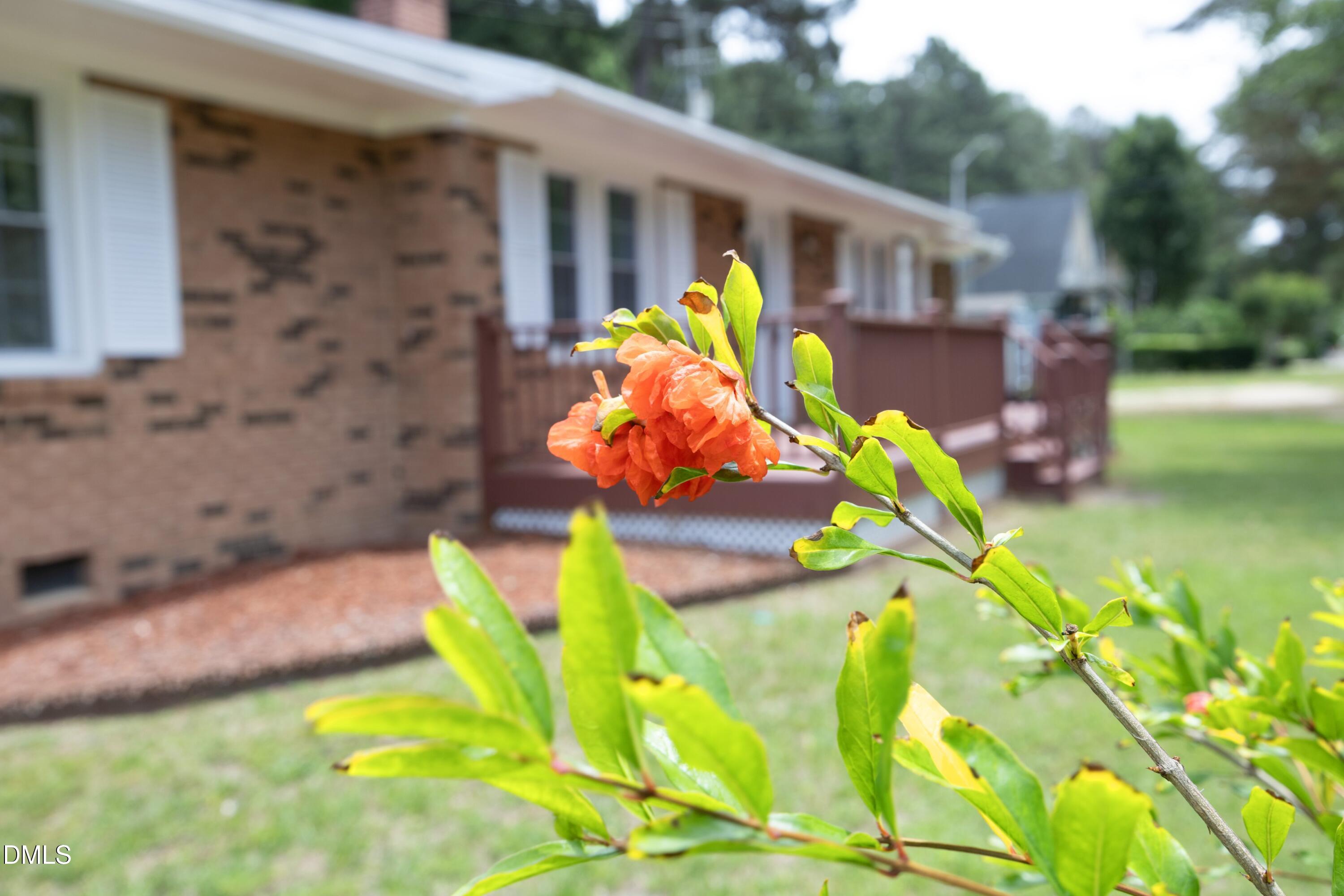 3128 Pleasant Grove Church Road