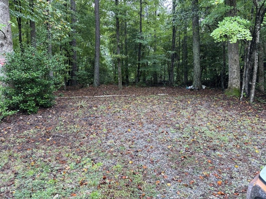 421 OSAGE DRIVE, SPRING HOPE, NC 27882 - Image 429efb0d2ed1a460e020ff2b26e8de5c/988083459