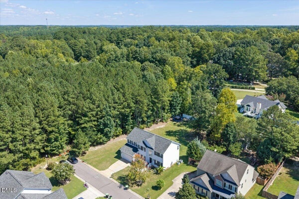 1417 WHITE OPAL DR, KNIGHTDALE, NC 27545 - Image 468772b7d54cdefd68bc8be3c4b68697/1942690474
