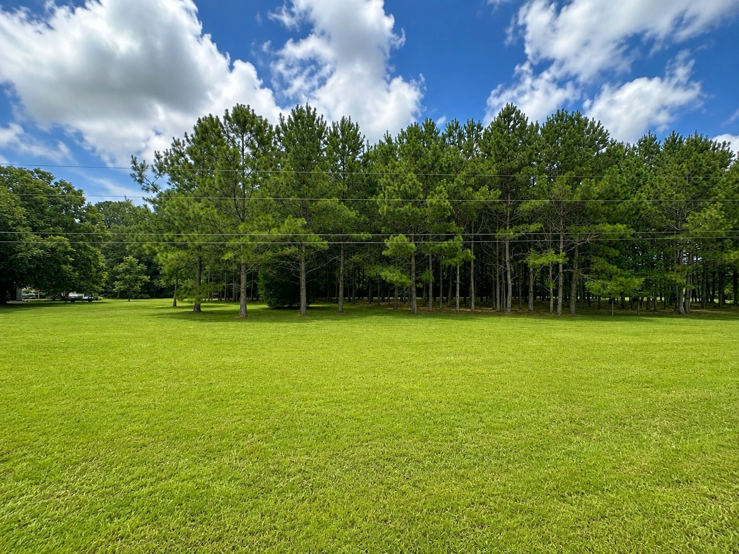 28 Bunn Road