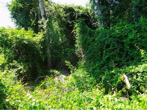 Photo of 000 Ridgefield Road, Eastover, NC 28312 (MLS # LP769638)