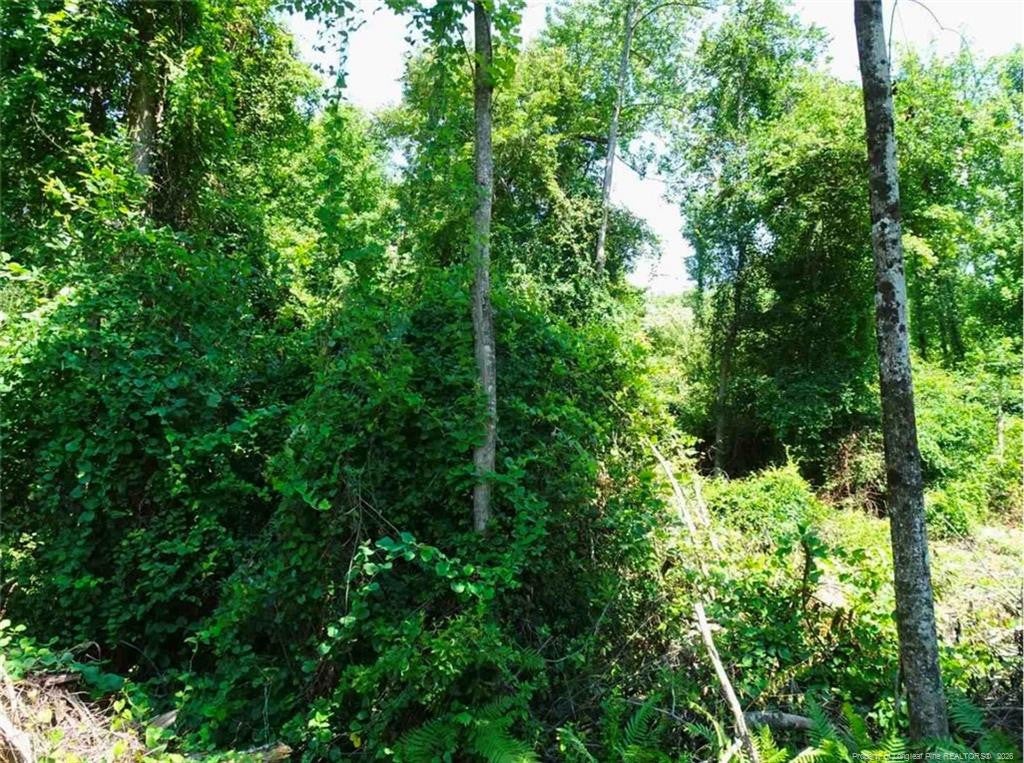 000 Ridgefield Road
