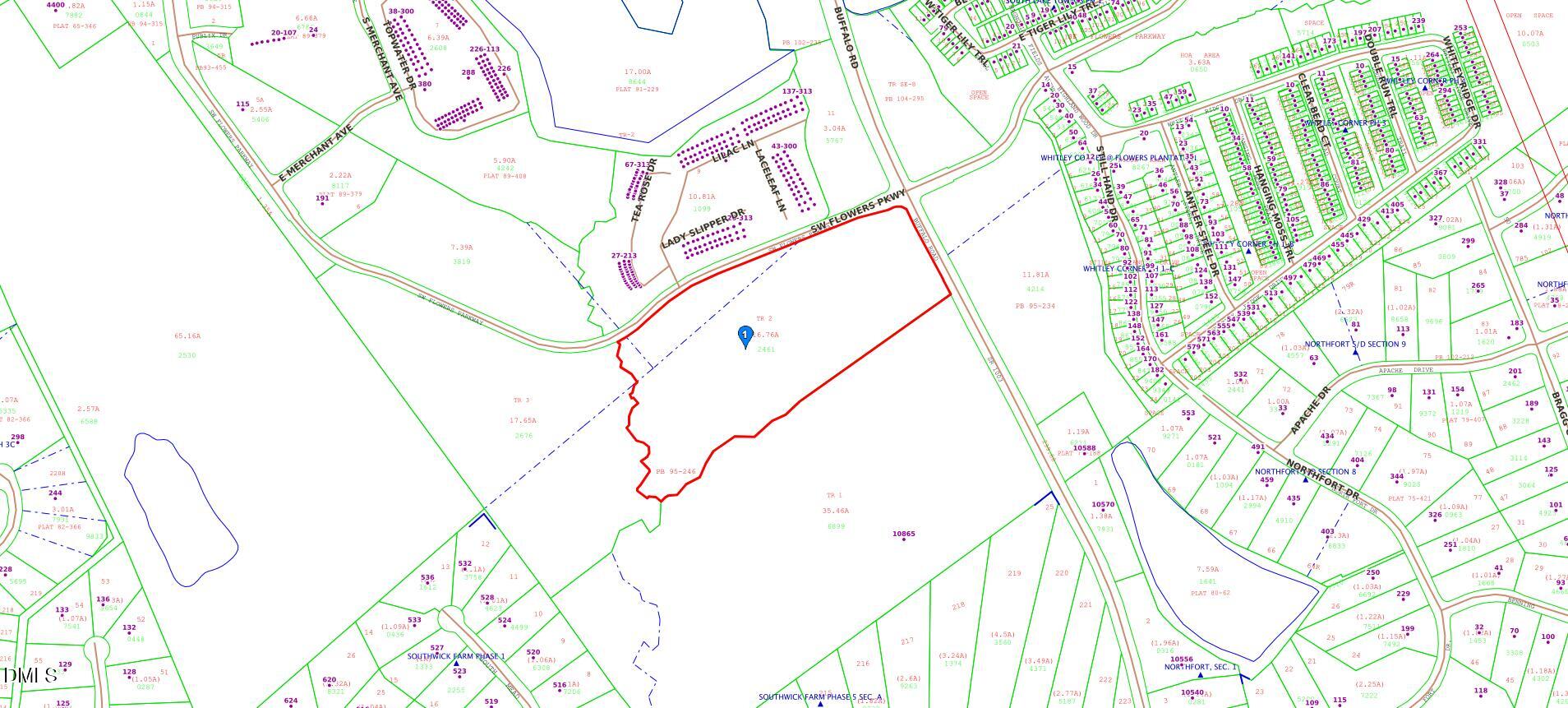 Tract 2 SW Flowers Parkway
