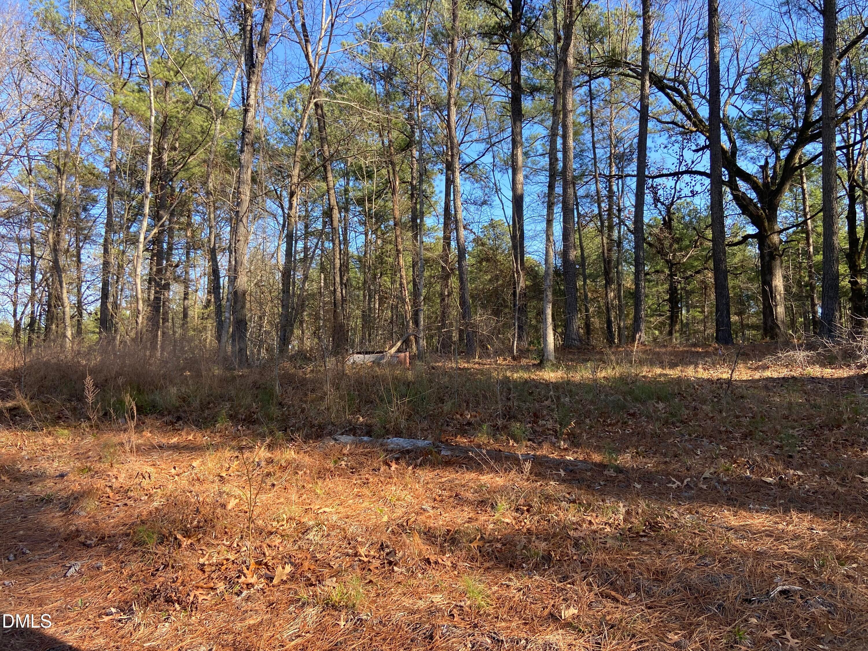 9113 Moon Lake Lane