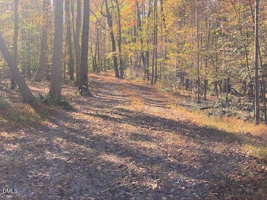 LOT 5 SEPELO WAY, EFLAND, NC 27243 - Image 4ec6f406fbd31fb3cd2072243836c9f6/159830902