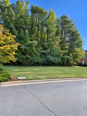 0 STONEWYCK DRIVE, BURLINGTON, NC 27215 - Image 4f0342d7ee6ac90a7afeb68a24a1a5cb/4159485358