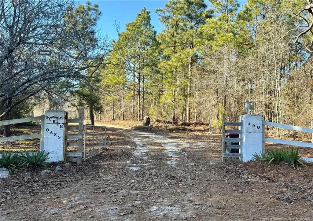 490 Springhill Church Road, Hamlet, NC, 28345