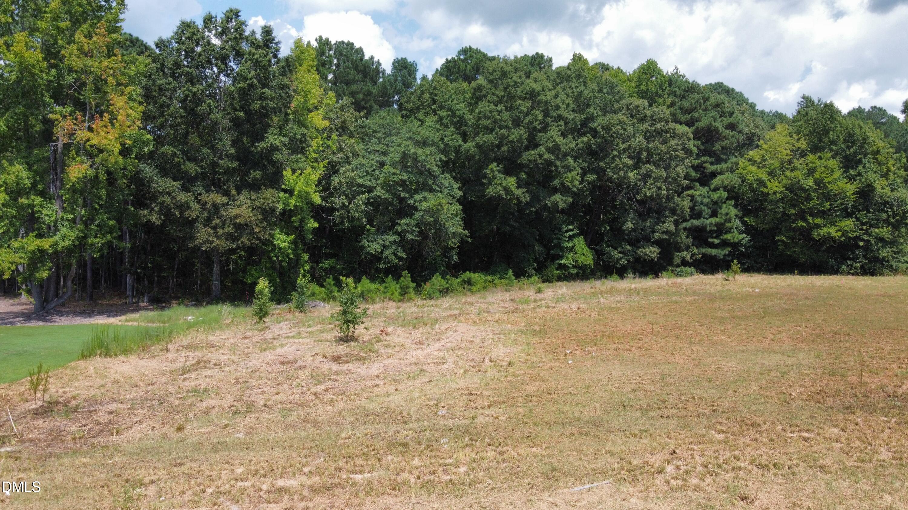 3808 Peaceful Creek Trail