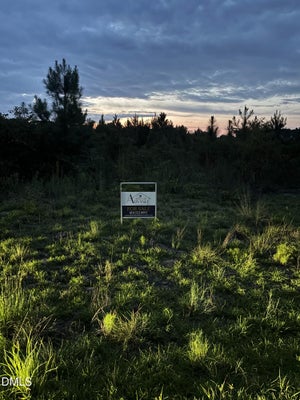 0 COLLIER ROAD, WADE, NC 28395 - Image 55ace3bb5b63c7ca7e314015d94d39b1/3907161290