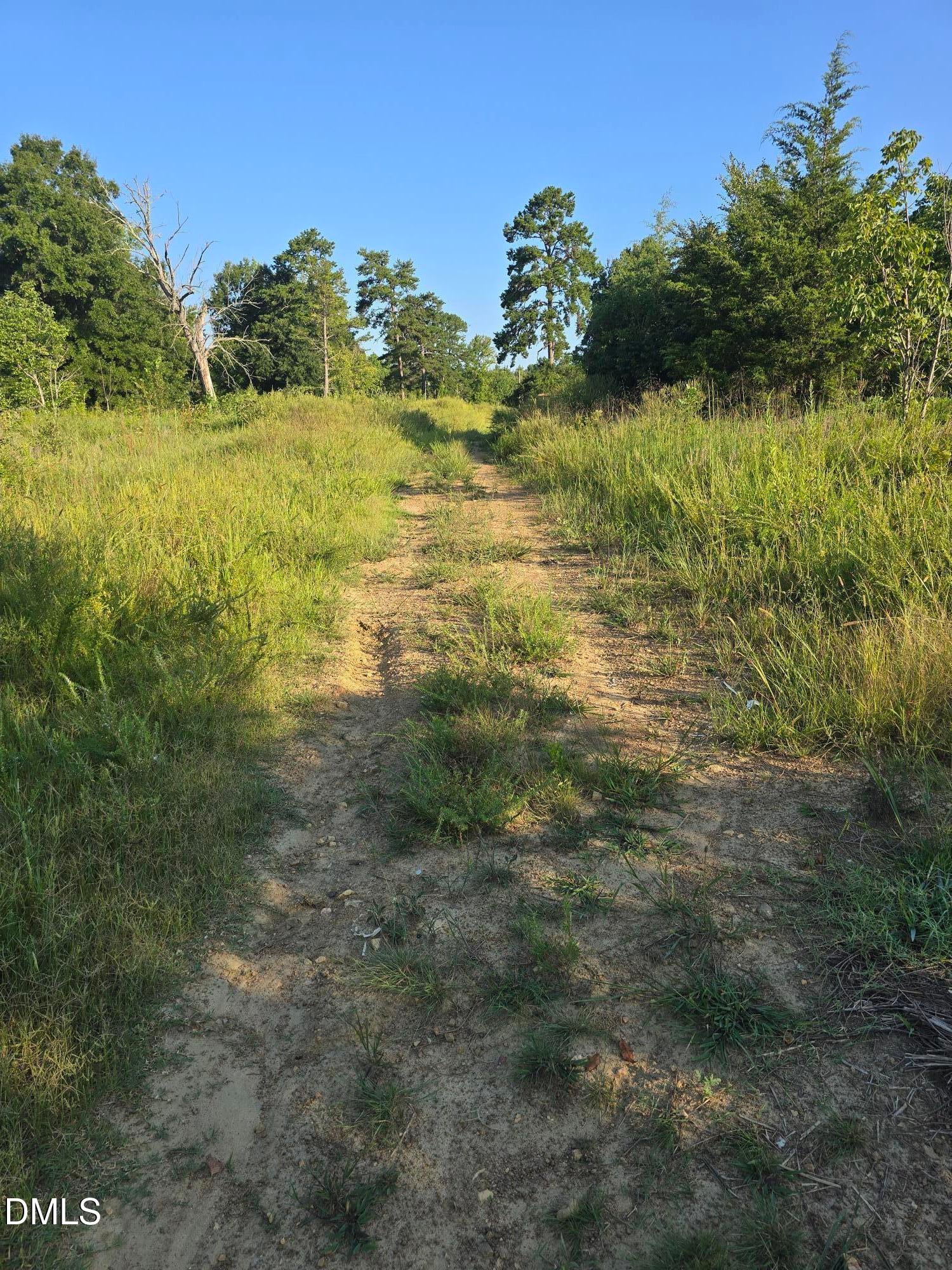 4955 Dailey Store Road