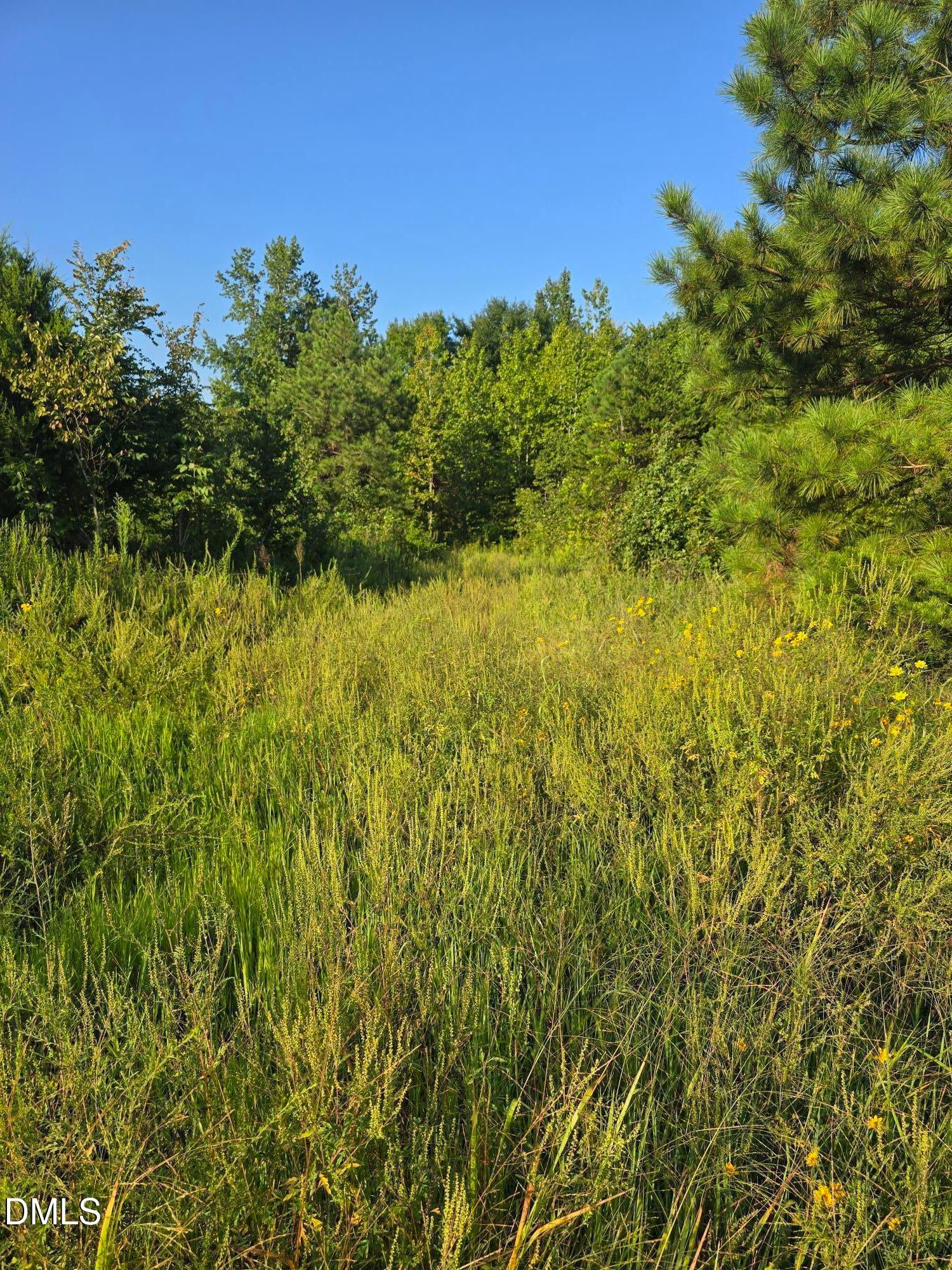 4955 Dailey Store Road