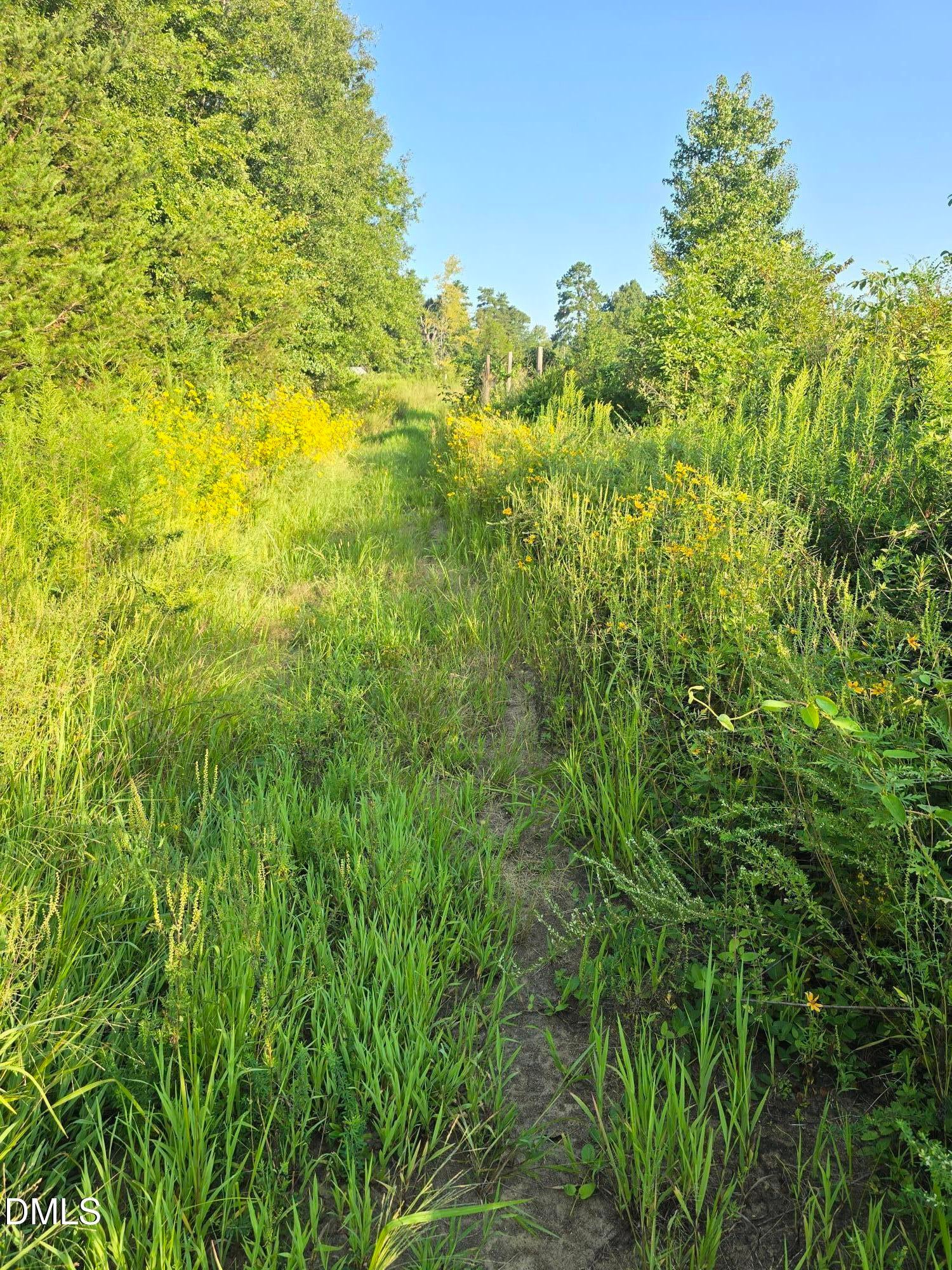 4955 Dailey Store Road