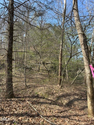 00 SEVEN ISLAND ROAD, DANBURY, NC 27016 - Image 5ae8d0273d934bcc884c2c7a5e0cedae/3422414442