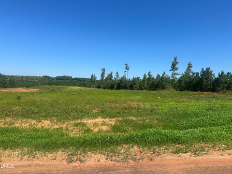 Photo of Lot 4 0 W Old Spring Hope Rd, Spring Hope, NC 27882 (MLS # 10193182)