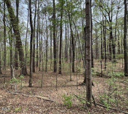 FOREST HILL DR LOT 336, LITTLETON, NC 27850 - Image 5f04e7030fcb7df3bf2f20dda326817b/4149907816