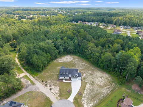 Photo of 196 Cozy Brook Court, Clayton, NC 27520 (MLS # 10093413)