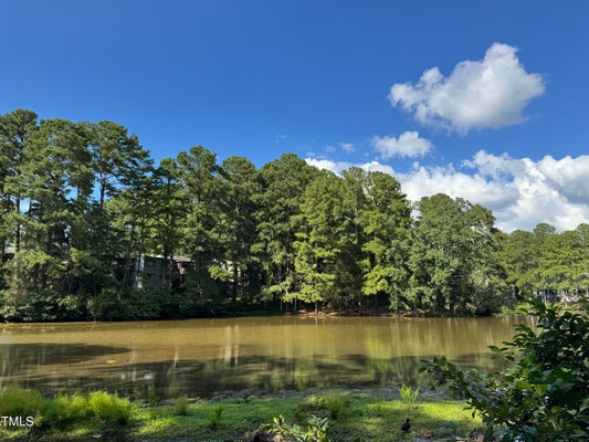 5112 FLINT RIDGE PL, RALEIGH, NC 27609 - Image 66c01aedb67b2e087268f173f9b01d6a/59463289