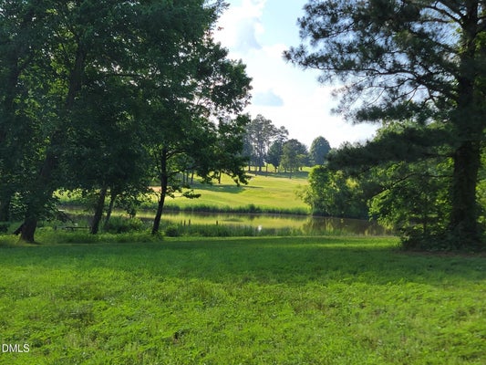 54 CASWELL PINES CLUBHOUSE DR, BLANCH, NC 27212 - Image 68e4ffc4c05b30182f3854342f1275fb/1007213434