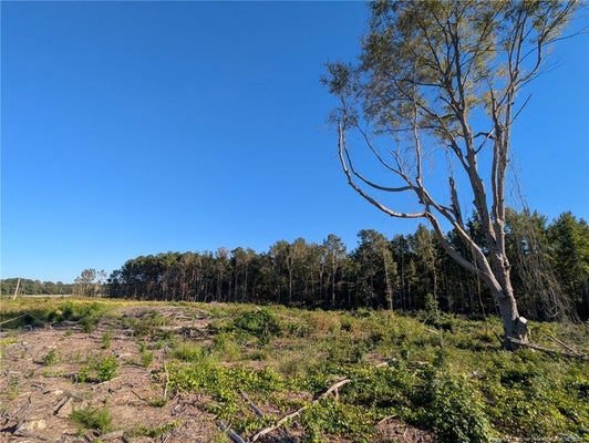 6635 NC HIGHWAY 87 S, FAYETTEVILLE, NC 28306 - Image 6b6549ad9d8a65b0c2e52175fffffb60/2307834737