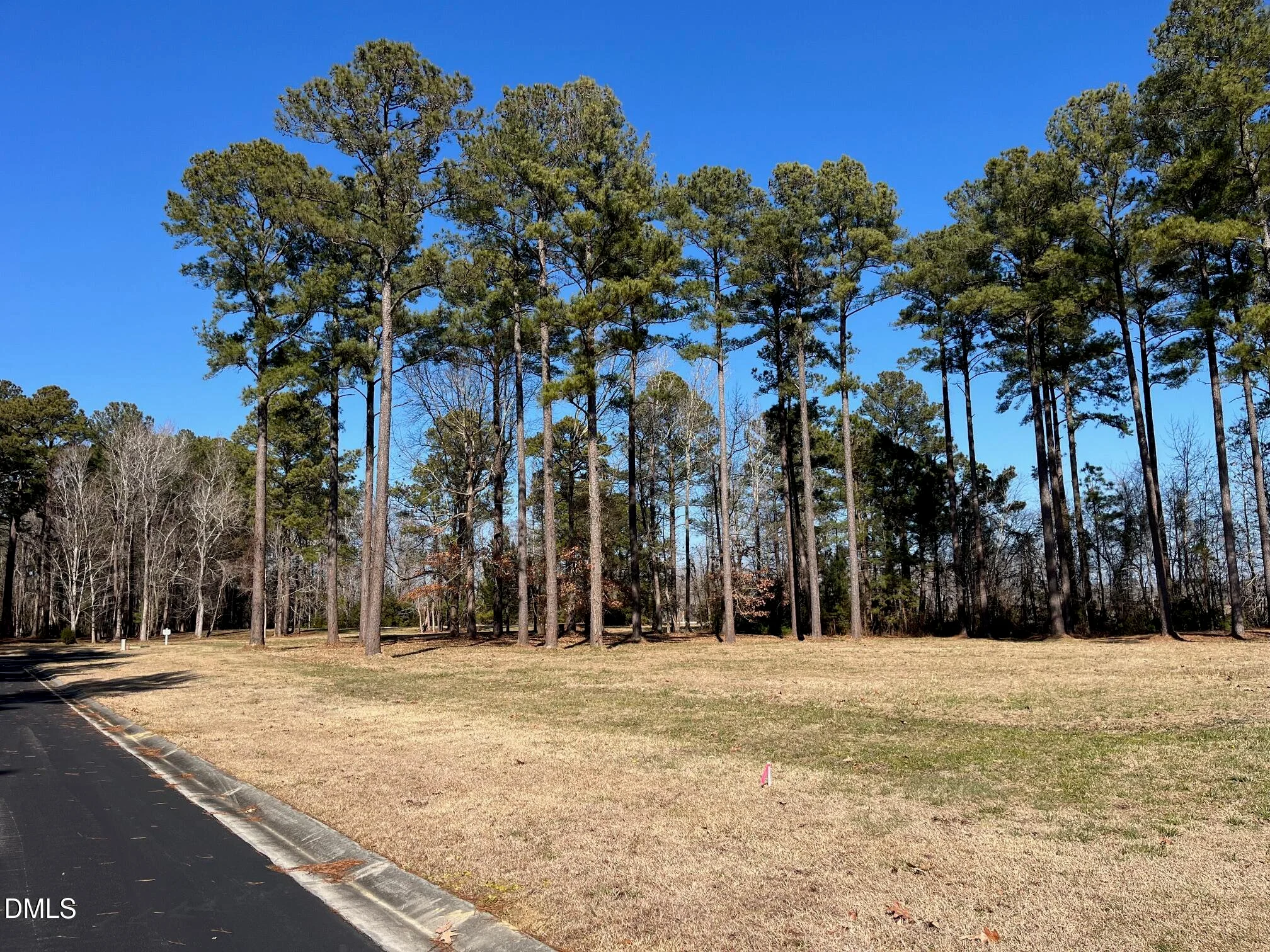 23 Baldhead Island Court S