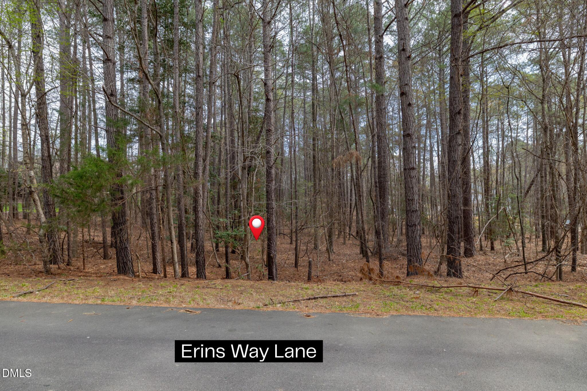 1121 Erins Way Lane