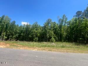 40 Downes Trail