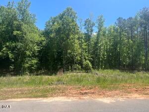 40 Downes Trail