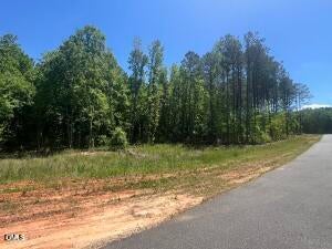 40 Downes Trail