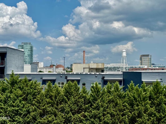 600 S DUKE ST, DURHAM, NC 27701 - Image 73f1986b006b6f0e7d154aed7a6eebaa/2402657801