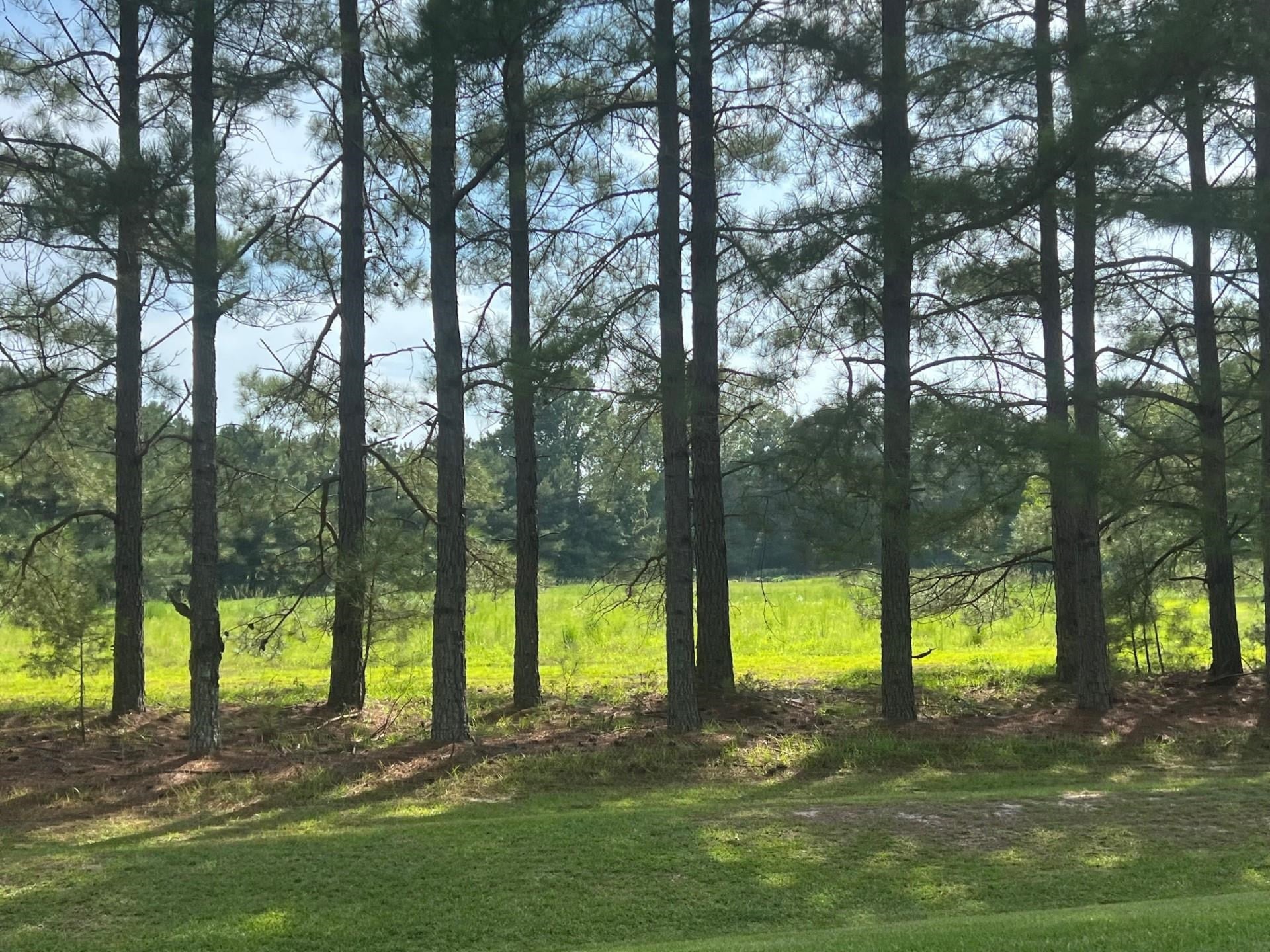 3466 Matthews Mill Pond Road