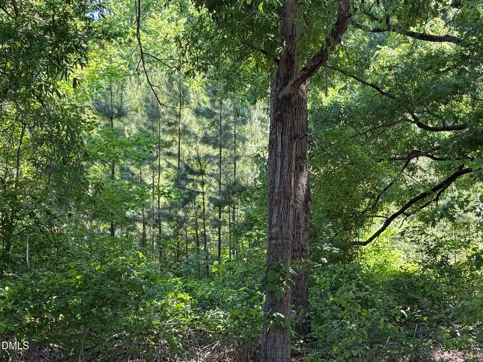 1.5 Ac Lot Country Club Road