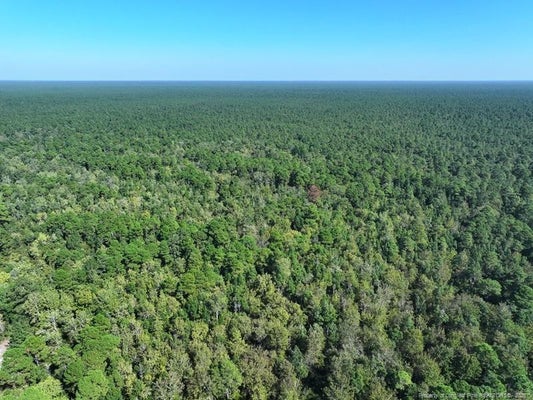 ANGOLA BAY, WALLACE, NC 28466 - Image 78d3598ad511b30259167502135a1a21/843545000