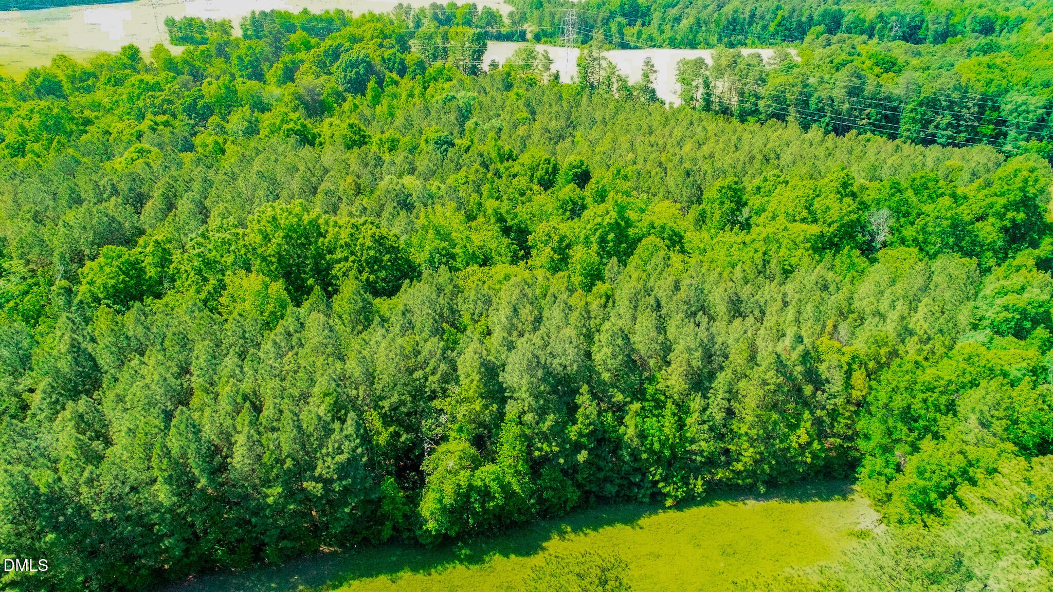 10.19 Acre Orange Grove Road