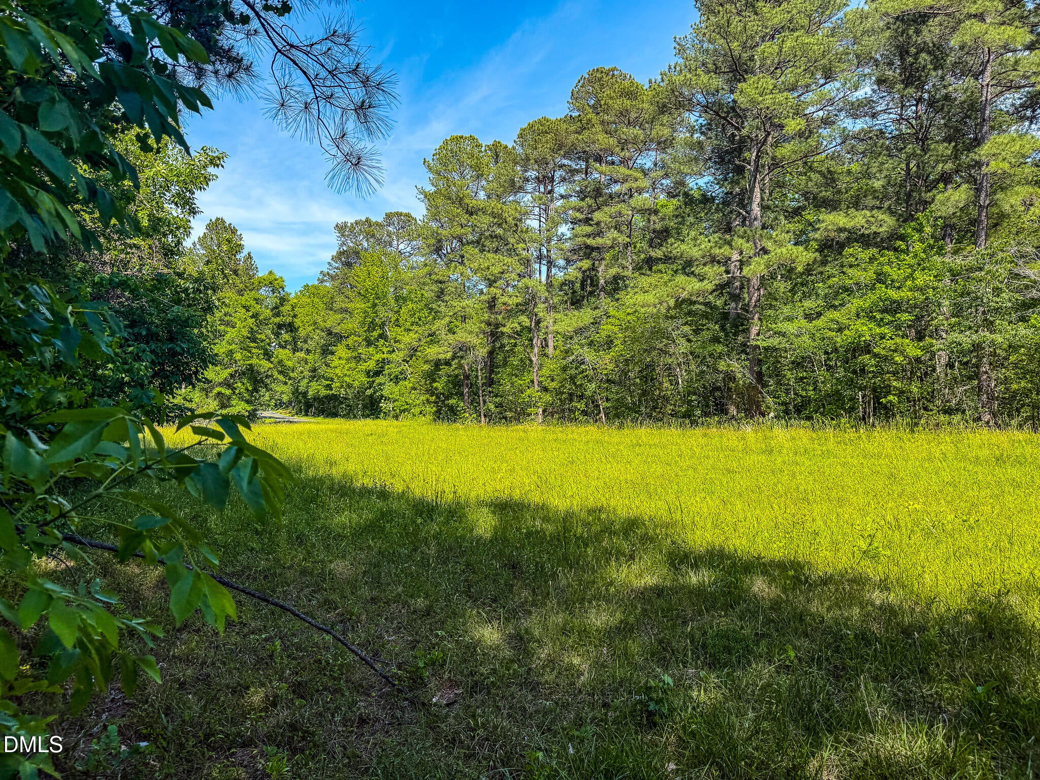 10.19 Acre Orange Grove Road