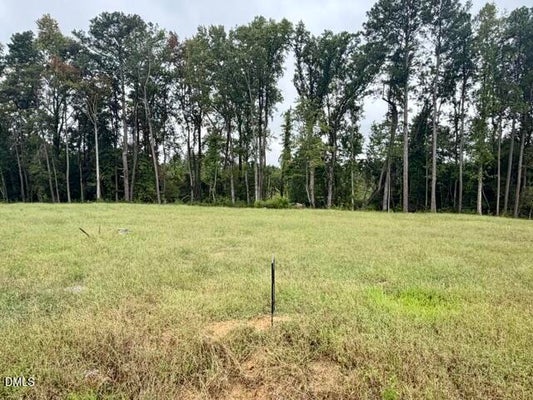 1043 NOR AM RD, PIKEVILLE, NC 27863 - Image 7c3e2c4c79a986ed5d21ae2270a52b21/551862619